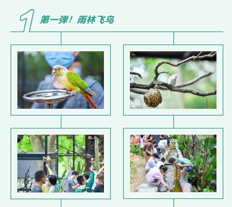 MG������Ե(�й���)�ٷ���վ
